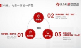 网络爆料平台 吃瓜网官网免费观看,揭秘热门爆料平台新体验